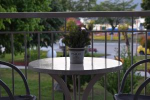 Nakis Apartment Stavros في ستافروس: يوجد خزاف نباتي على طاولة في الشرفة