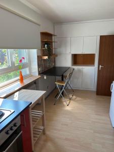 Kuchyň nebo kuchyňský kout v ubytování promedklinik apartment 4