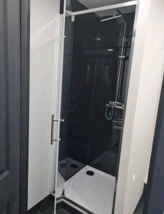 a shower with a glass door in a bathroom at Charming 1-Bed Apartment in Peebles in Peebles