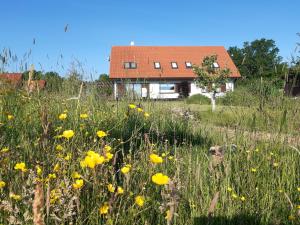 ein Haus inmitten eines Blumenfeldes in der Unterkunft Siedlisko Gregorowo in Ustka