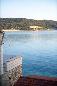 a view of a large body of water at Beachfront Studio AndriNa in Vis
