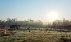 Fotografie z fotogalerie ubytování Siedlisko Gregorowo v destinaci Ustka