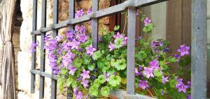 a bunch of purple flowers in a window box at La Casa Gran in Castielfabib