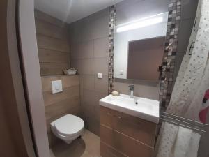 a bathroom with a toilet and a sink and a mirror at VILLA Adrien , maison de charme. in Casanova