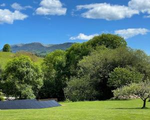 un campo verde con &aacute;rboles y una rampa de skate en el gran sue&ntilde;o Boutique Hotel & Apartamentos - Adults Only, en Pintueles