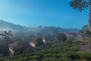 Landskap semula jadi dekat dengan resort