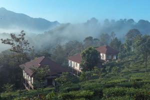 Landskap semula jadi dekat dengan resort