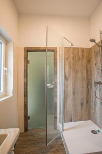een badkamer met een douche en een glazen deur bij Restaurant Grüner Baum in Leidersbach