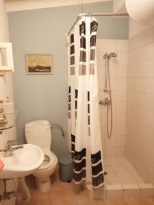 ein Bad mit einer Dusche, einem WC und einem Waschbecken in der Unterkunft Arcadia Eressos in Eresos