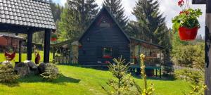 een klein zwart huis met een groene tuin bij Schwarz Kabin in Neagra