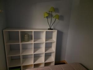 Apartemendi raamatukogu