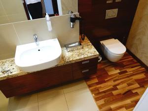 a bathroom with a sink and a toilet at Platinum Ostróda in Ostróda