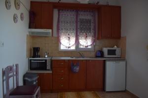 Kuchyň nebo kuchyňský kout v ubytování Villa Paris