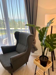 una silla y una planta en una habitación con ventana en Holiday Resorts, en Balatonszárszó