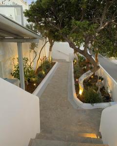 a stairway with a tree and some plants at Zisis Pension in Agios Stefanos