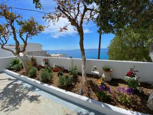 a garden with potted plants and a white fence at Mama's Pension in Agios Stefanos