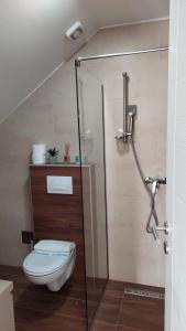 a bathroom with a glass shower with a toilet at Ctrl Alt Del Apartment S76 in Kopaonik