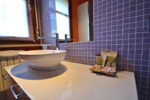 a blue tiled bathroom with a toilet on a counter at Spacious apartment in Vercelli with terrace and garden in Vercelli +12 photos