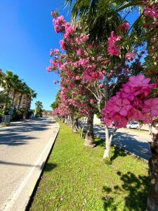 A garden outside İstanbul Beach Hotel