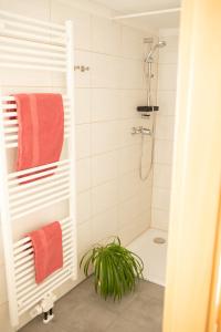 ein Badezimmer mit einer Dusche, orangefarbenen Handtüchern und einer Pflanze in der Unterkunft Ferienwohnung-Ihle Olbernhau in Olbernhau