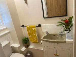 a bathroom with a sink and a toilet and a mirror at Walk to town,child friendly,free parking in Kingsbridge