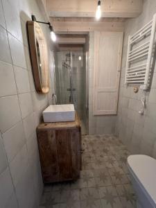 Noriega的住宿－Casa El PIORNO，一间带水槽、镜子和淋浴的浴室