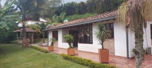 Biały dom z palmami przed nim w obiekcie Villasol - Cabaña campestre en medio de la naturaleza w mieście Rionegro