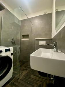 ein Badezimmer mit einem Waschbecken und einer Waschmaschine in der Unterkunft VERT Apartman in Kastav