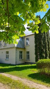 a large white house with a large tree at Guest house LAUKMALI in (( Falcgrāve ))