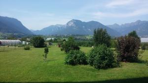 un campo con árboles y montañas en el fondo en Casa Vacanze Hartriegel en Comano Terme