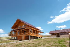 una gran casa de madera en una colina con un edificio en Cabana Dominic, en Mărişel