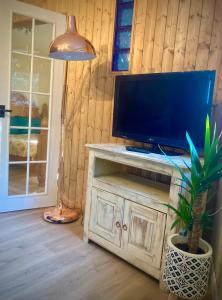 a television on a wooden table with a potted plant at Aqua Shack at Pure Shores Retreats in Newquay