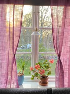 Φωτογραφία από το άλμπουμ του Spjutsbygds Gårds Bed and Breakfast σε Rödeby