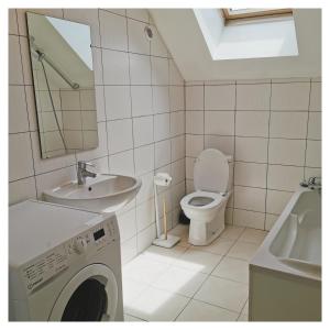 ein Badezimmer mit einem WC, einem Waschbecken und einer Waschmaschine in der Unterkunft L'opale in Le Bourg-dʼOisans