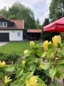 a garden with a house and a red umbrella at Magnolia in Kruklanki