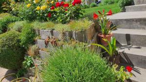 A garden outside Apartment in Fonyod - Balaton 18580