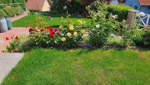 A garden outside Apartment in Fonyod - Balaton 18580