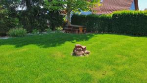 A garden outside Apartment in Fonyod - Balaton 18580