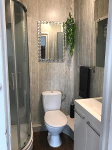 e bagno con servizi igienici, doccia e specchio. di Charming 1-bed cottage Montemboeuf a Montembœuf