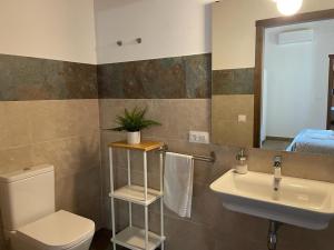 a bathroom with a sink and a toilet and a mirror at FINCA LAS DEHESILLAS in Monesterio +54 photos