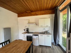 Kuchnia lub aneks kuchenny w obiekcie Barcelonnette location avec jardin
