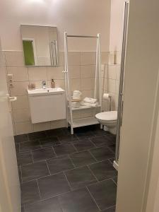uma casa de banho com um lavatório e um WC em Hotel Neuhauser em Volkach