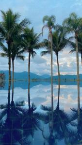 un grupo de palmeras reflejándose en el agua en Corsário Hotel, en Ubatuba