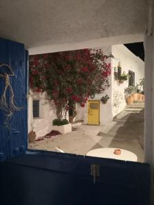 Fotografie z fotogalerie ubytování Cueva San Anton v destinaci Níjar