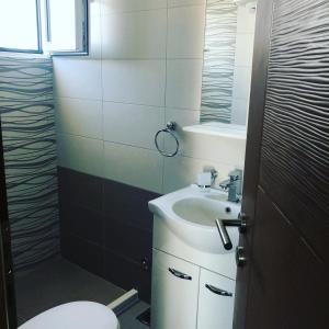 uma casa de banho com um lavatório branco e um WC. em Bashi's Apartments em Donji Štoj