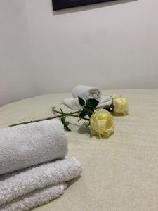 einen Haufen Handtücher und Blumen auf einem Badezimmerboden in der Unterkunft M-Home Mostar in Mostar