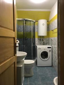 uma casa de banho com um WC e uma máquina de lavar roupa em Stone house Saint Michael em Košute