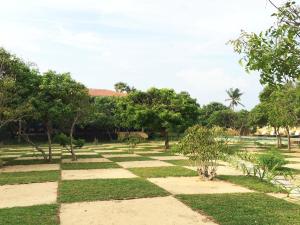 einen Garten mit Gras und Bäumen in einem Park in der Unterkunft NIKARA Luxury Beach House in Tissamaharama