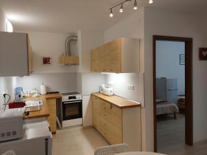 a kitchen with wooden cabinets and a stove top oven at Arsenal House Budapest in Budapest