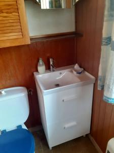 a bathroom with a white sink and a toilet at Gîte Trinacria in Breil-sur-Roya +17 photos